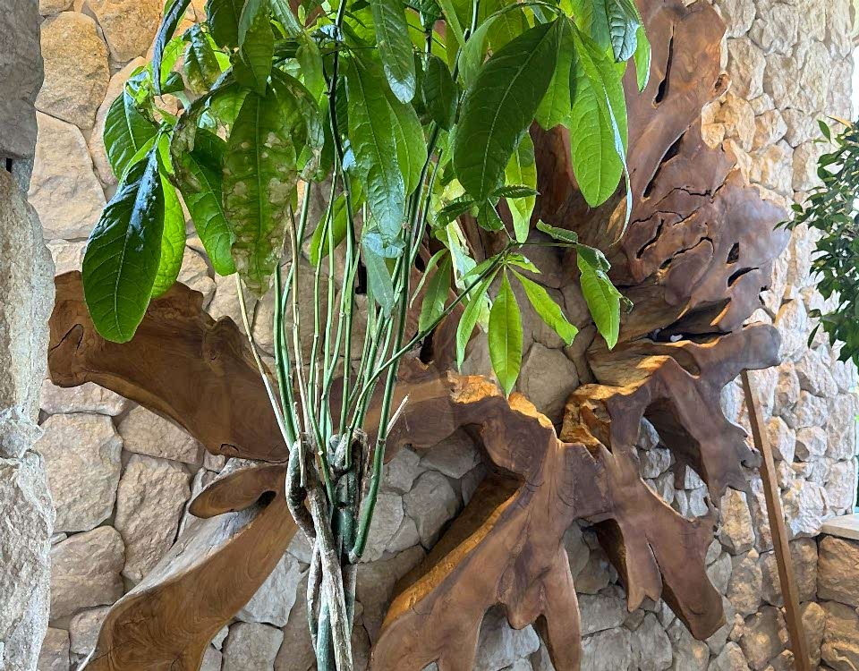 kuşadası dış cephe taş kaplamalaları